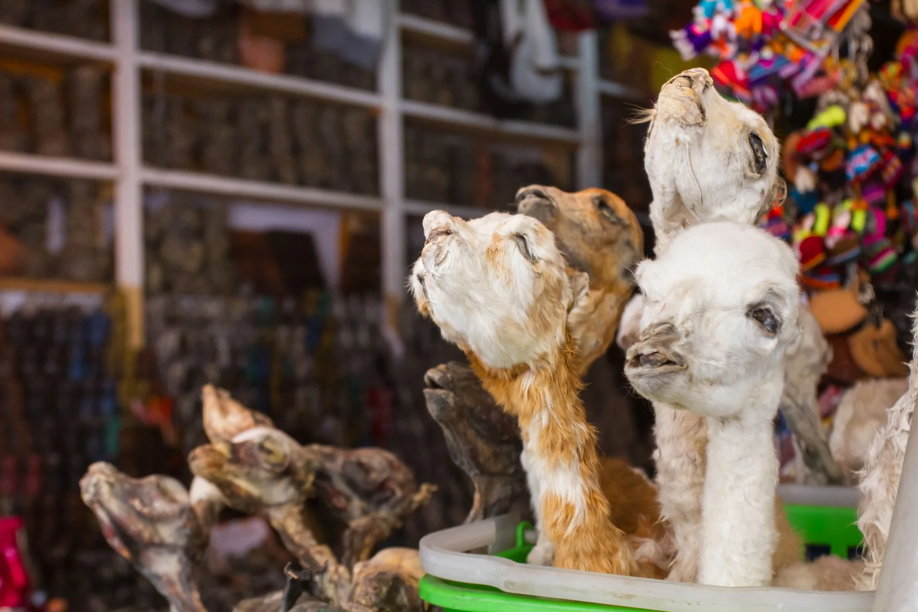 Mercado de las Brujas, fotografía 5