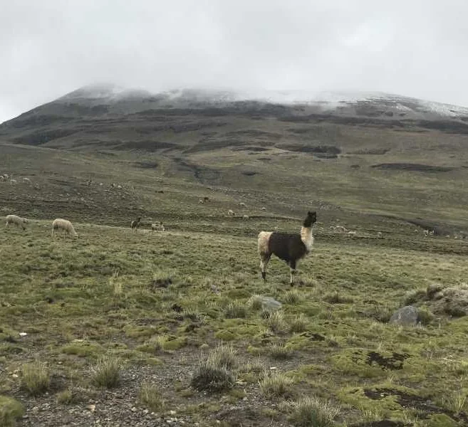 Nevado Charquini, fotografía 1