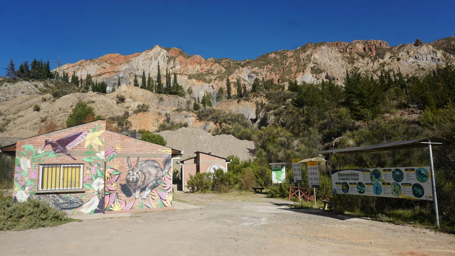 Area Protegida Municipal Bosquesillo de Auquisamaña, fotografía 1