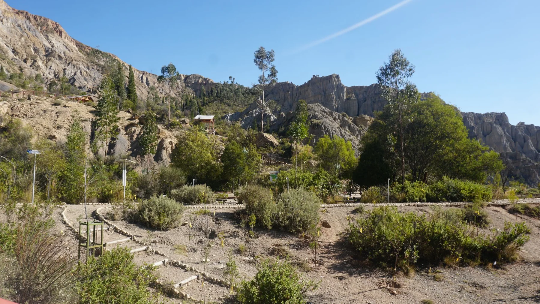 Area Protegida Municipal Bosquesillo de Auquisamaña, fotografía 3