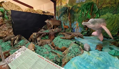 Museo Nacional de Historia Natural de Bolivia, fotografía 2